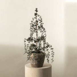 Kerstboom Zijde met Sneeuw LED Small -PTMD-