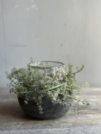 Asparagus-Kränzchen 20 cm