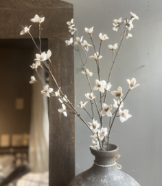 Branch Blossom Light