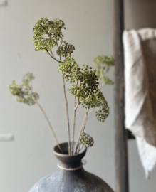 Zijde Tak Achillea Groen