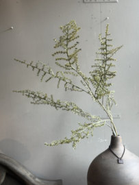 Seiden-Asparaguszweig 130 cm