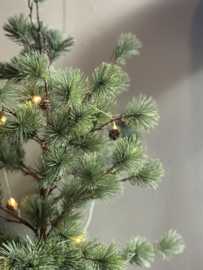 Weihnachtsbaum Seide Small