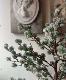 Weihnachtsbaum Larix Grey Green 120 cm -Brynxz-