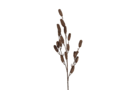 Zijdetak Dennenappel 95 cm