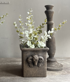 Planter Square Ram Majestic Brown 14x14 cm -Brynxz-