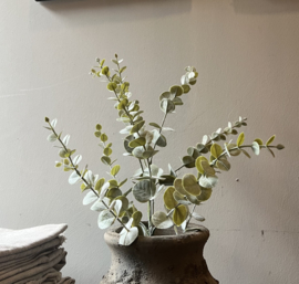 Seidenzweig Eukalyptus 73 cm