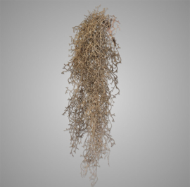 Tillandsia Girlande Vintage Braun 90 cm -Brynxz Collections-
