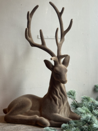 Liegender Hirsch Samt Braun Medium