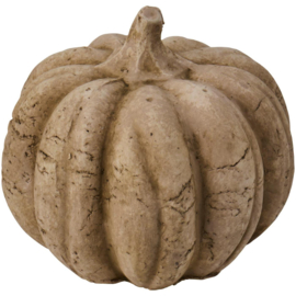 Stenen Pompoen Naturel L