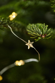 Wire string lights w/50 stars f/indoor w/timer 6/18