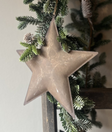 Metalen Ster Roest Bruin 24,5 cm