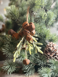 Hanger Belletjes Pine Roest