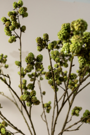 Zijde Tak Moerbei Groen 107 cm -PTMD-