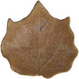 Schaaltje Blad