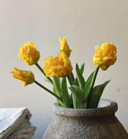 Tulpen (Sittich) Strauß gelb
