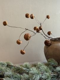 Zweig mit Weihnachtsglocke Rost M
