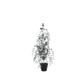 Kerstboom Zijde met Sneeuw LED Small -PTMD-