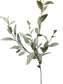 Zijde Tak Eucalyptus 85 cm