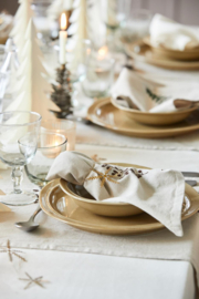 Napkin Tradition w/mistletoe butter cream