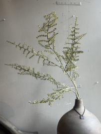 Seiden-Asparaguszweig 130 cm