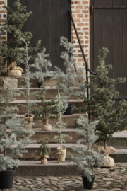 Kerstboom Zijde 80 cm