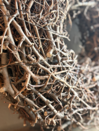 Kranz Wildly Bonsai 30 cm
