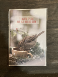 Weihnachts- und Winterkarten (4er Pack)
