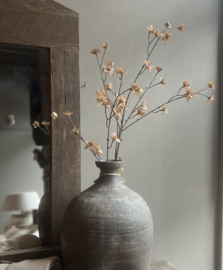 Branch Blossom Almond