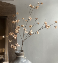Branch Blossom Almond