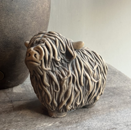 Schotse Hooglander Majestic Brown -Brynxz-