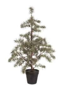 Kerstboom Zijde 80 cm