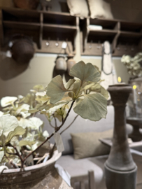 Seiden-Ginkgo-Zweig 77 cm