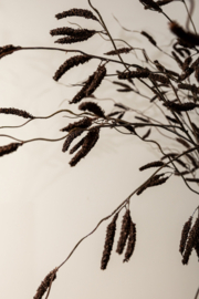Zijde Tak Amaranthus Dark Brown 120 cm -PTMD-