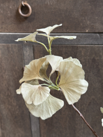Seiden-Ginkgo-Zweig 77 cm