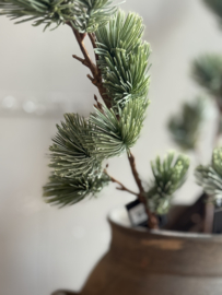 Zijde Tak Kerst Ceder Small