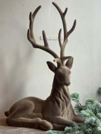 Liegender Hirsch Samt Braun Medium