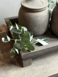 Zijde Takje Eucalyptus 28 cm