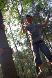 TreeFun Start - boomparcours