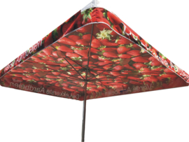 Aardbei Parasol