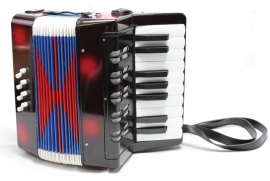 Accordeon zwart