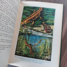 Handboek voor aquarium en terrarium kunde