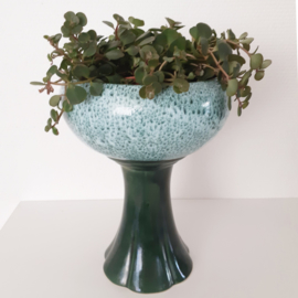 Groene pot op voet