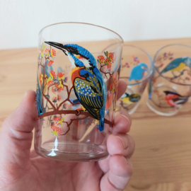 Set vogelglaasjes