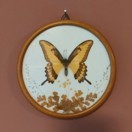 Vlinder vintage geel ronde lijst