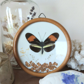 Vlindertje vintage klein