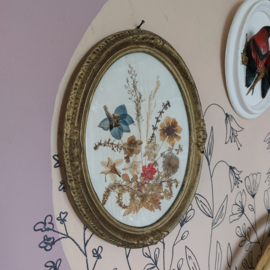 Droogbloemen in lijst