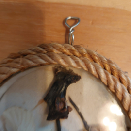 Vintage vlindertjes met schelpjes