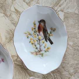 Schaaltje klein vogeltje