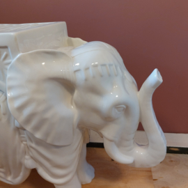 Plantentafel olifant wit XL