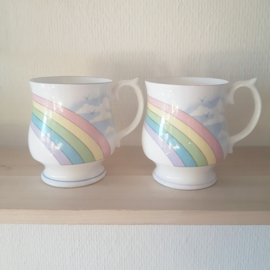 Mokken regenboog